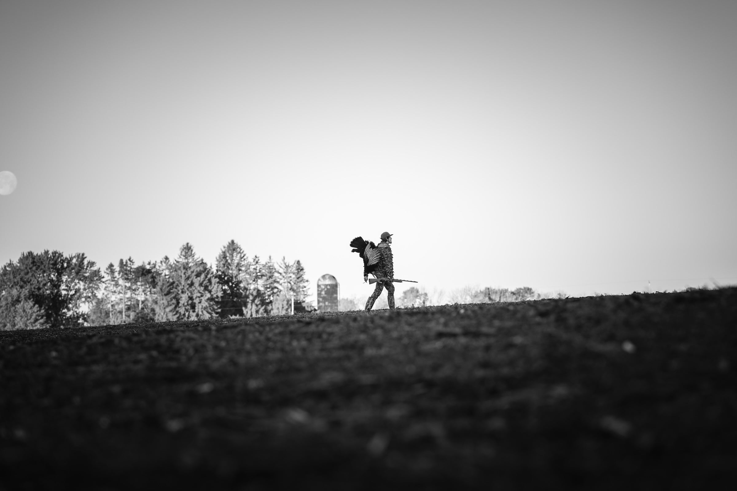 Man walking in field with Turkey